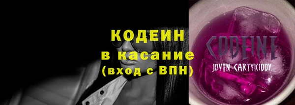 прущий лед Алзамай