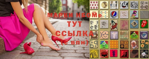 прущий лед Алзамай