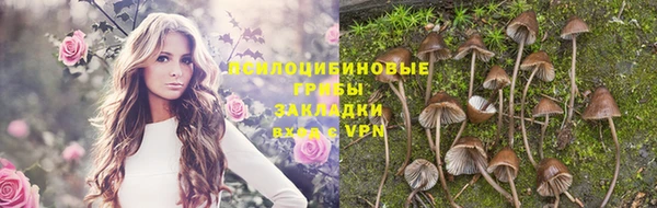 ALPHA PVP Алексеевка