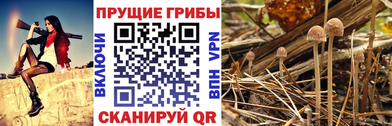 Галлюциногенные грибы Magic Shrooms Нижний Ломов